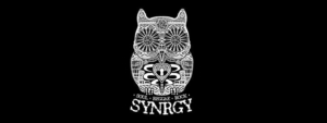 SYNRGY with Ital Vibes Patio Party! @ Flagstaff Brewing Company | Flagstaff | Arizona | United States